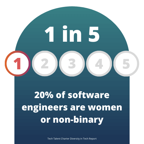 20% of software engineers are women or non-binary
