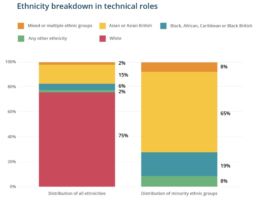 Ethnicity breakdown in tech roles