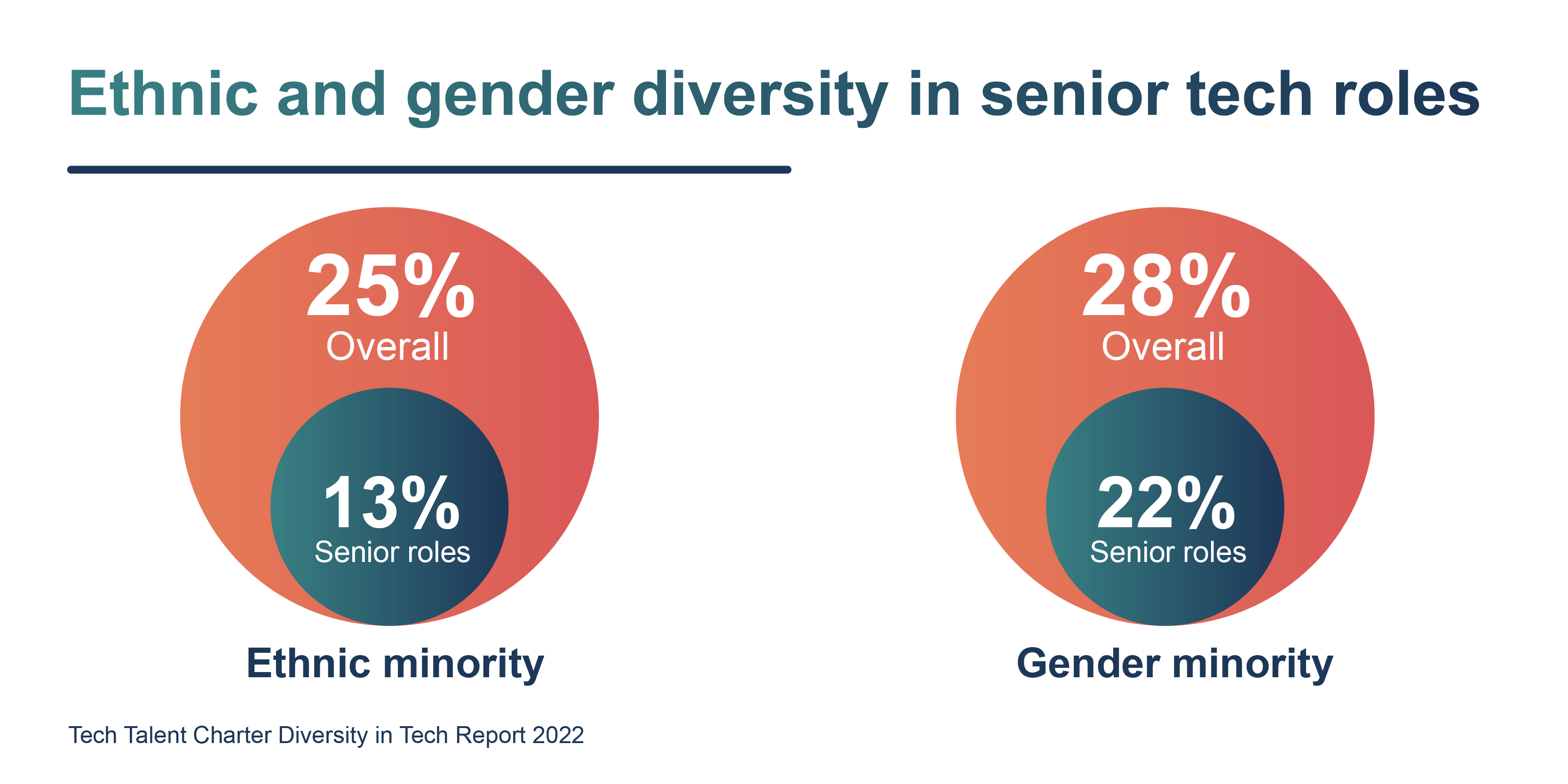 A visual representation of ethnic and gender diversity in senior tech roles