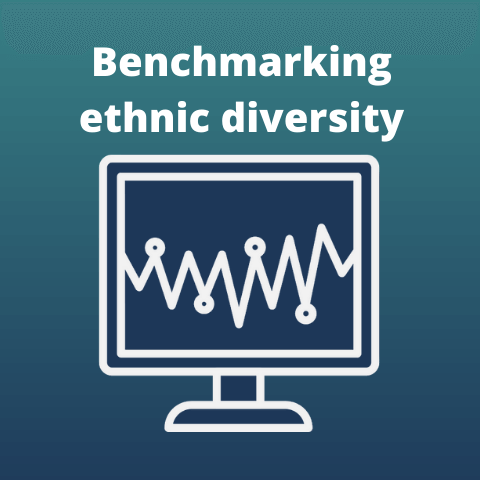 Benchmarking ethnic diversity