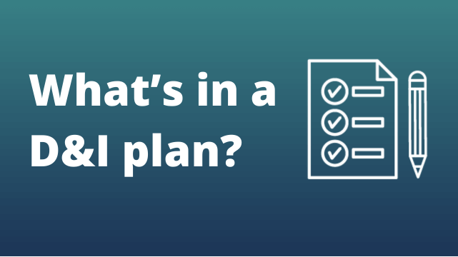 What’s in a D&I plan