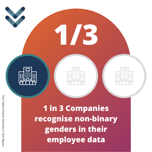 1 in 3 Companies recognise non-binary genders in their employee data