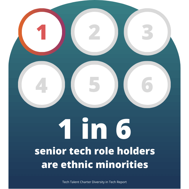 1 in 6 Senior tech role holders are ethnic minorities