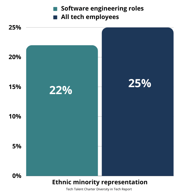 Ethnic minority representation in software engineering roles