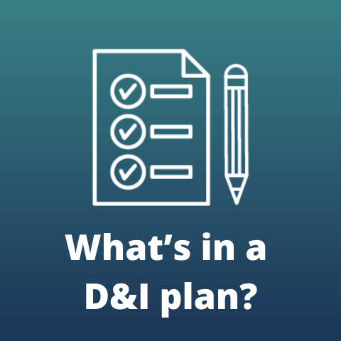 Resource_Whats in a D&I plan
